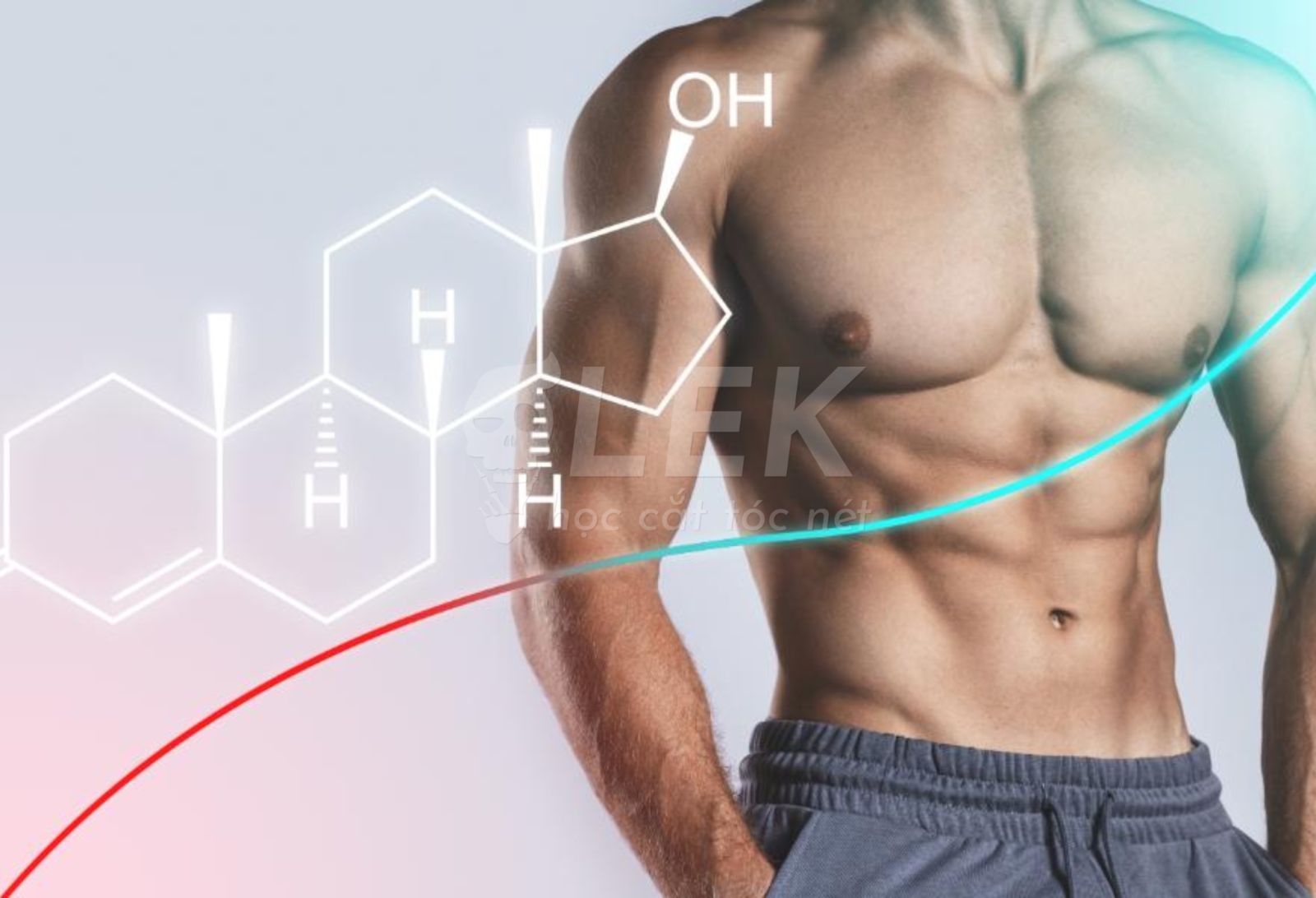 Testosterone Là Gì