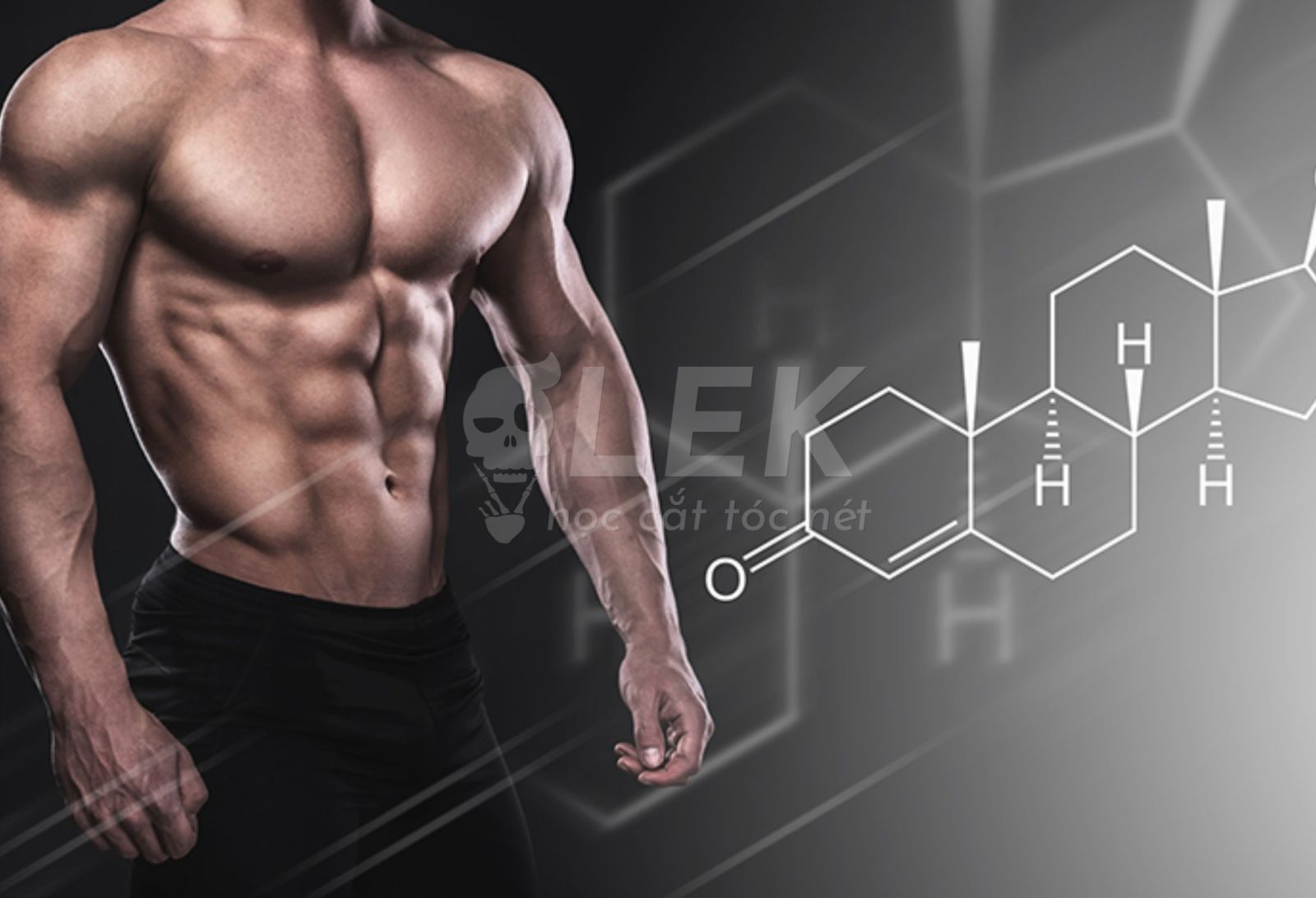 Testosterone Là Gì