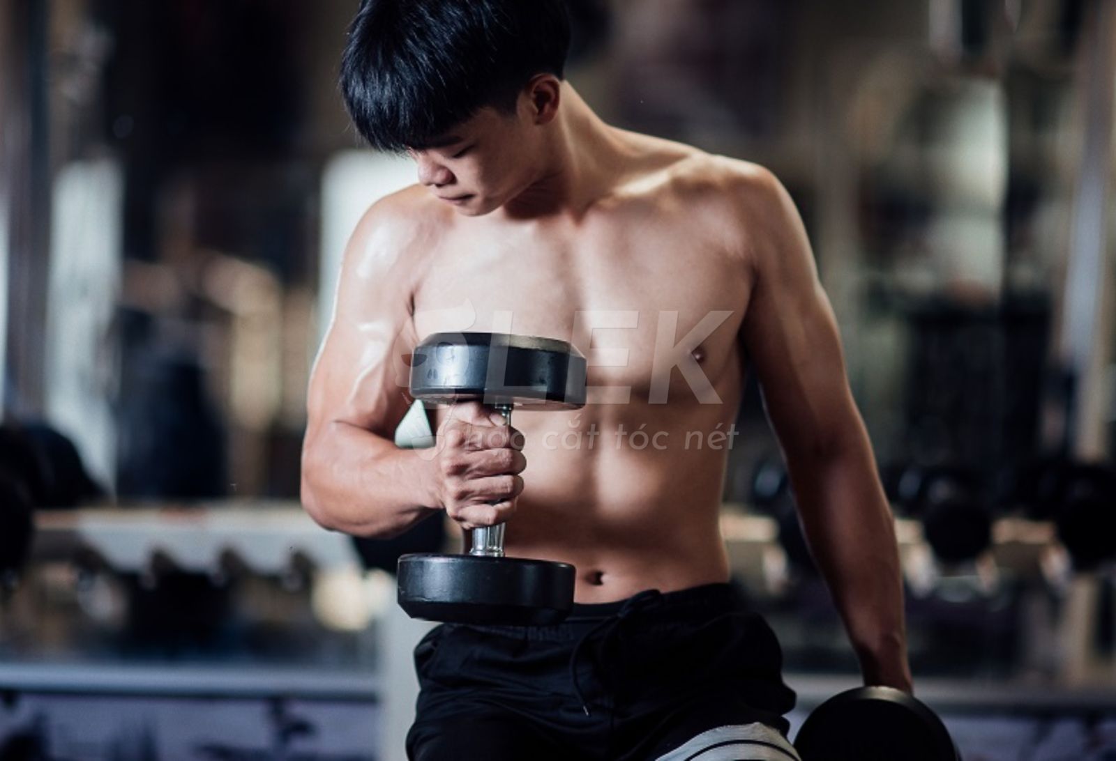 Testosterone Là Gì