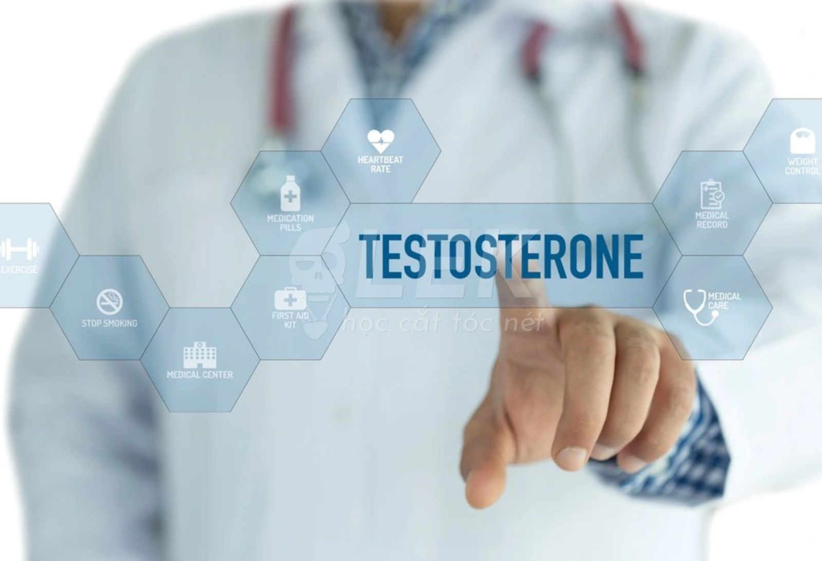 Testosterone Là Gì
