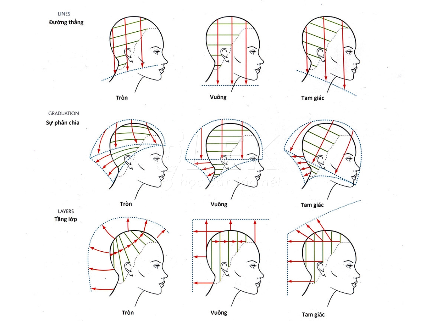hình khối tóc nam