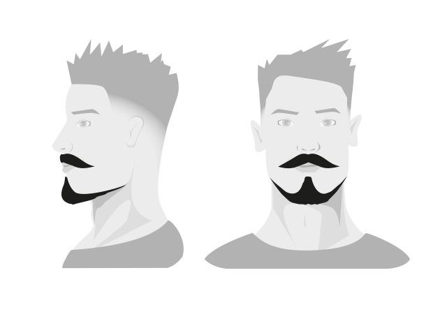 kiểu râu Anchor Beard